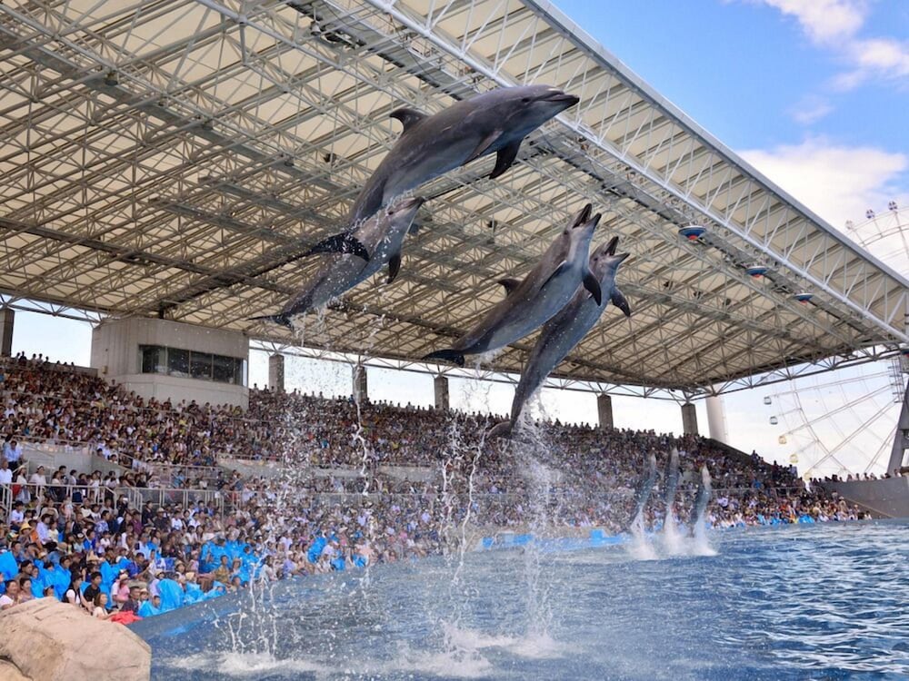 Фото Hotel Wing International Select Nagoya Sakae