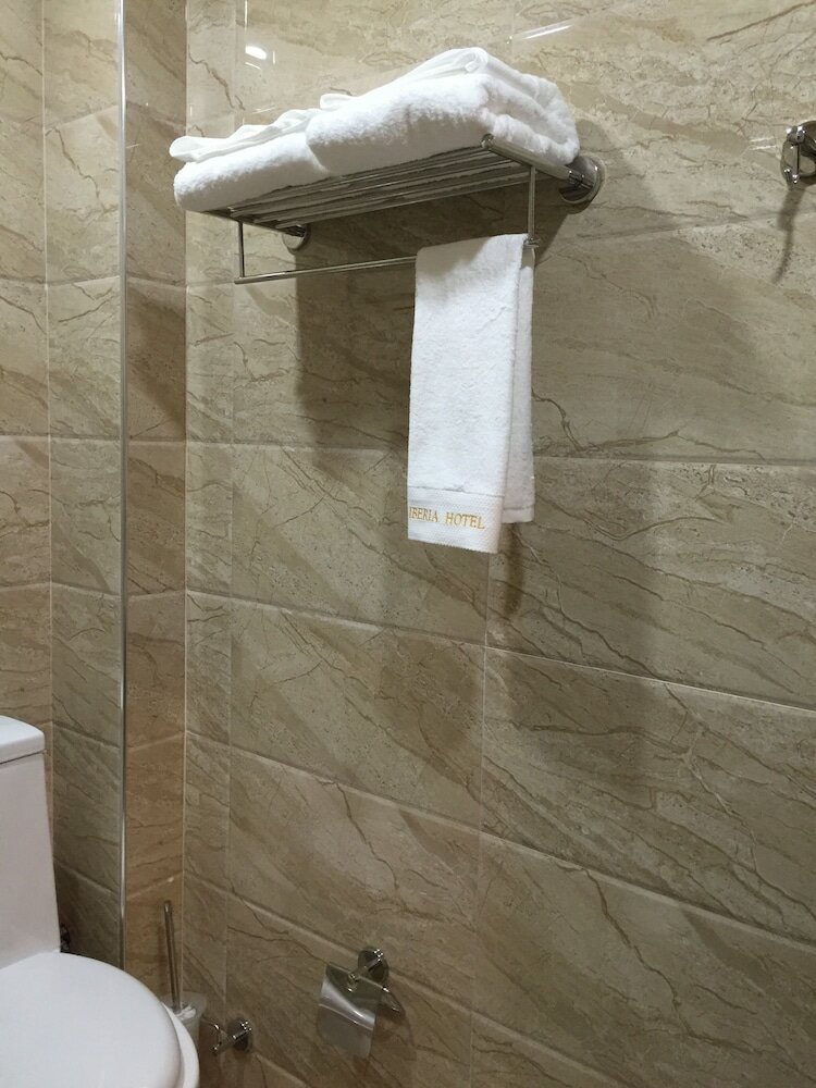 Фото Отель Iberia Didube