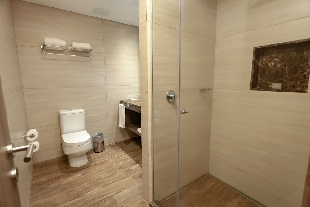 Фото Paseo La Galería Hotel & Suites