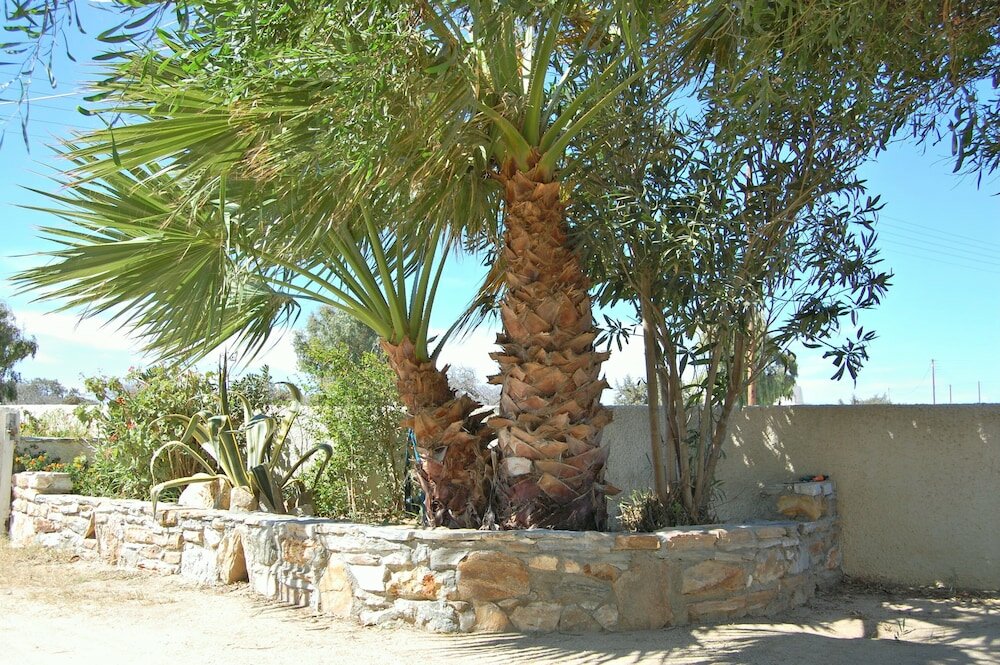 Фото Coralli Beach Apartments