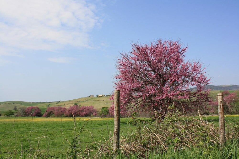 Фото Agriturismo i Sicomori