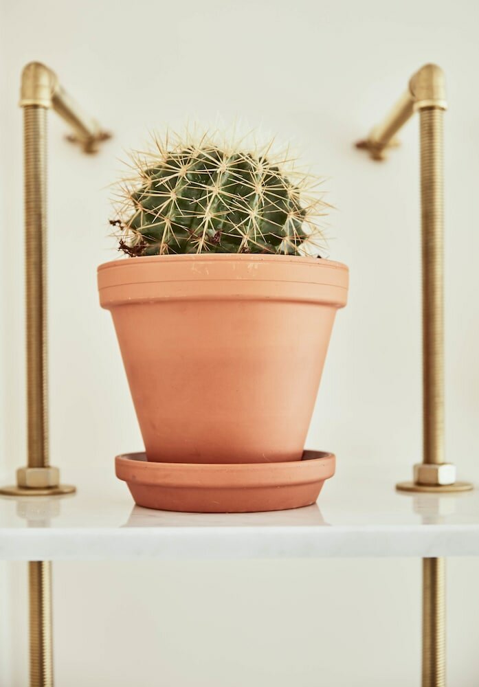 Фото Max Brown Hotel Midtown, part of Sircle Collection