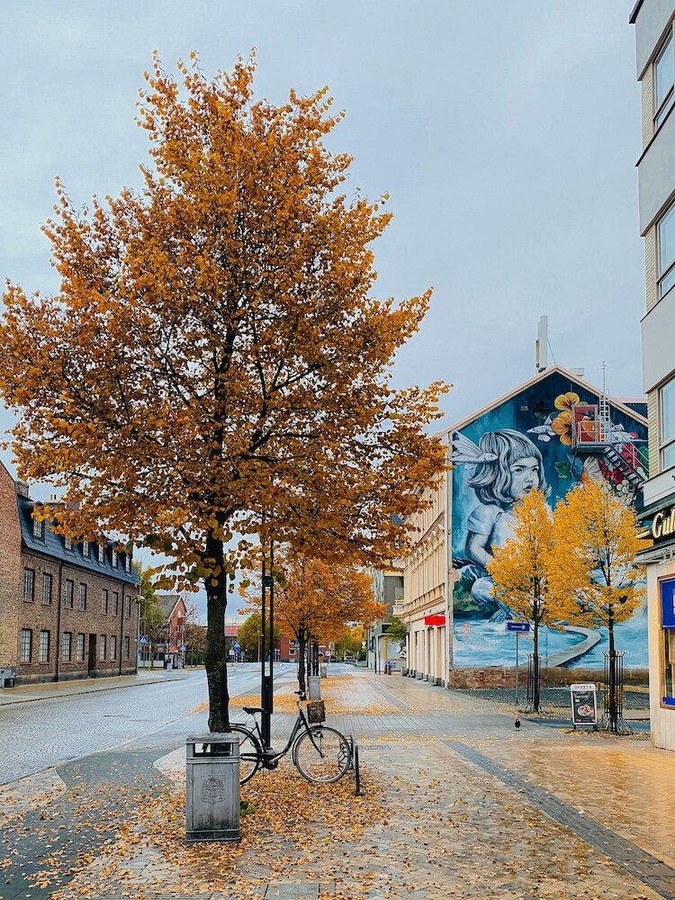 Фото First Hotel Christian IV