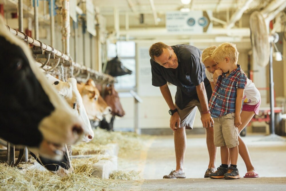 Фото Comfort Inn Gatineau