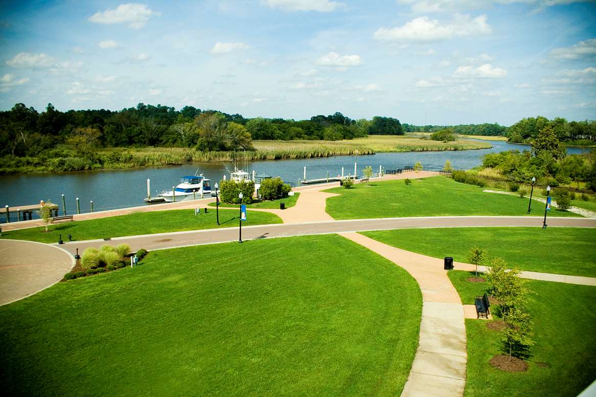 Фото Hilton Garden Inn Suffolk Riverfront