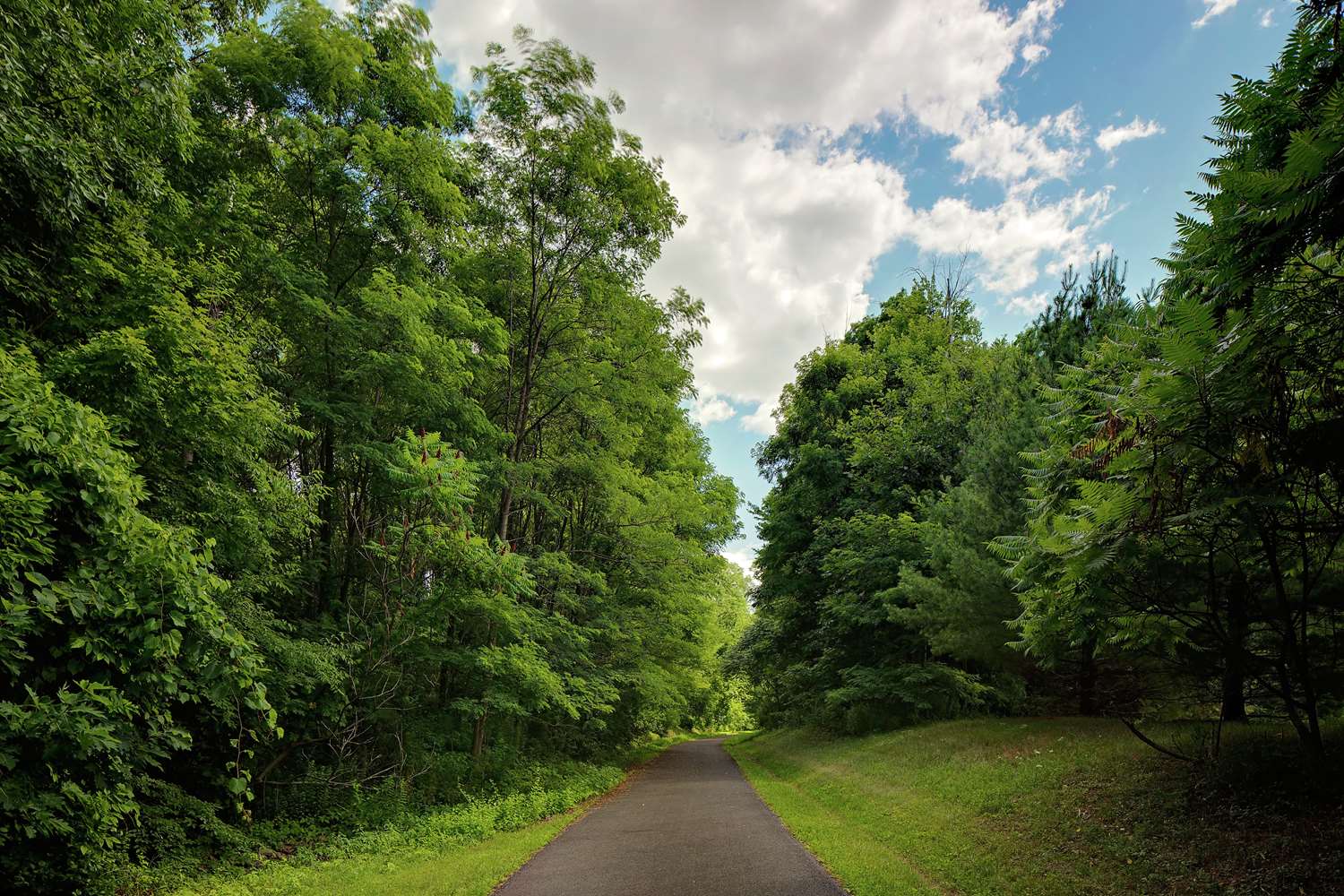 Фото Hilton Garden Inn Albany Airport