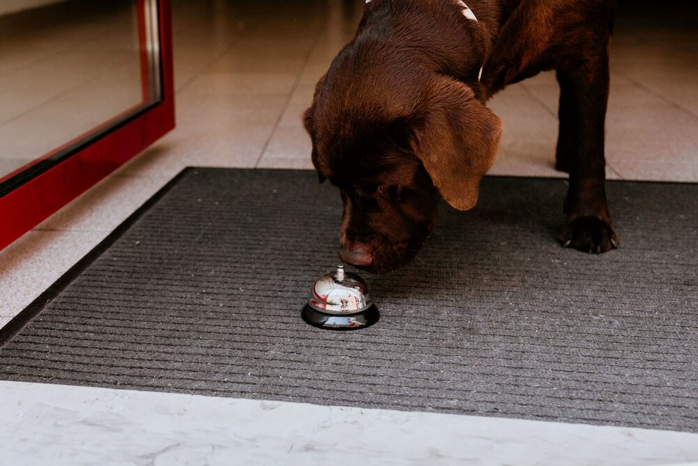 Фото Hotel Venezia