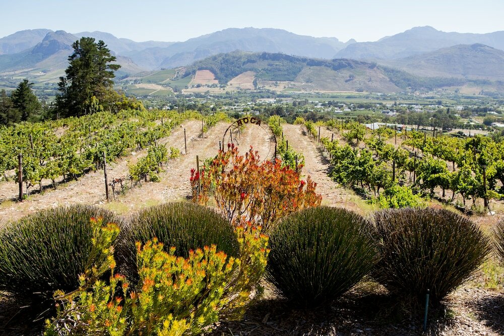 Фото Maison Montagne