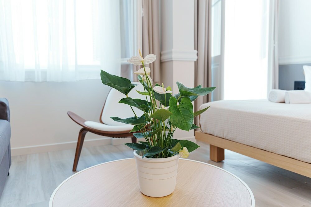 Фото Agora Athens Suites