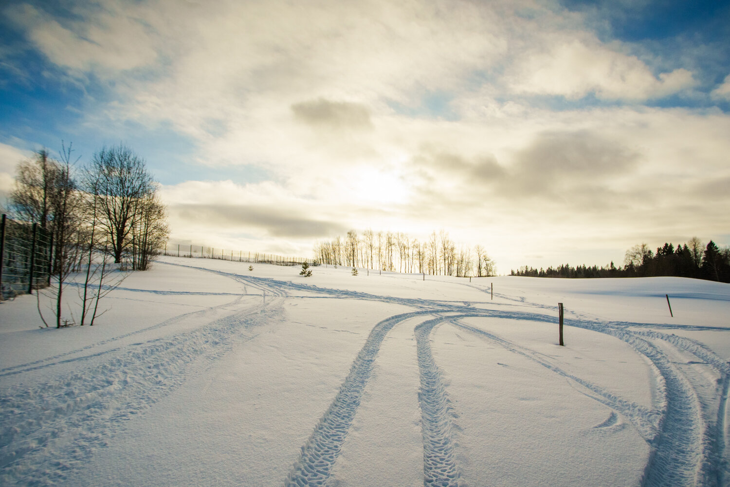 Фото Форест Хиллс