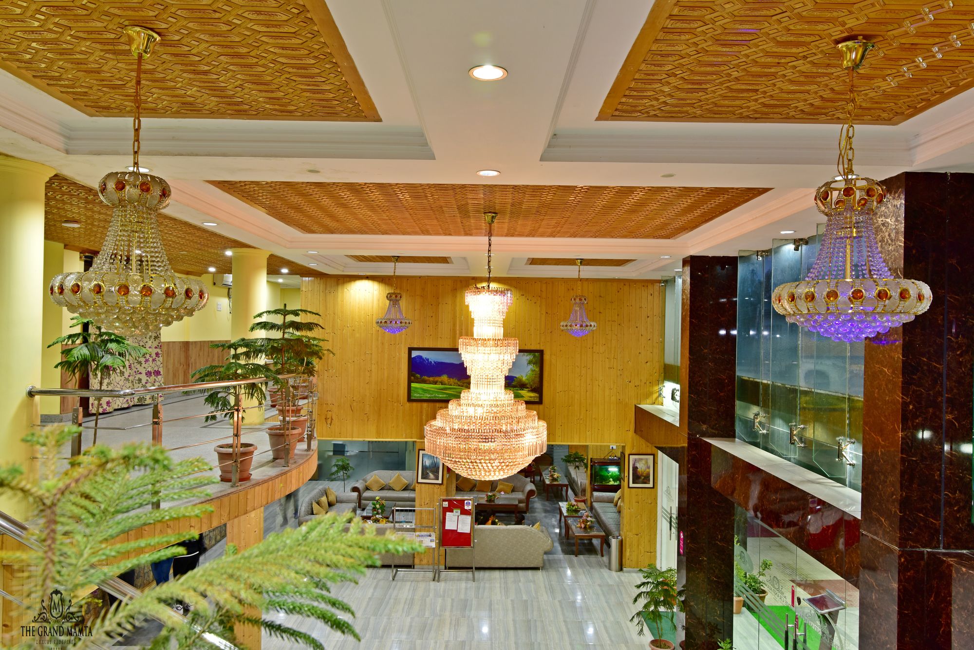 Фото Hotel The Grand Mamta