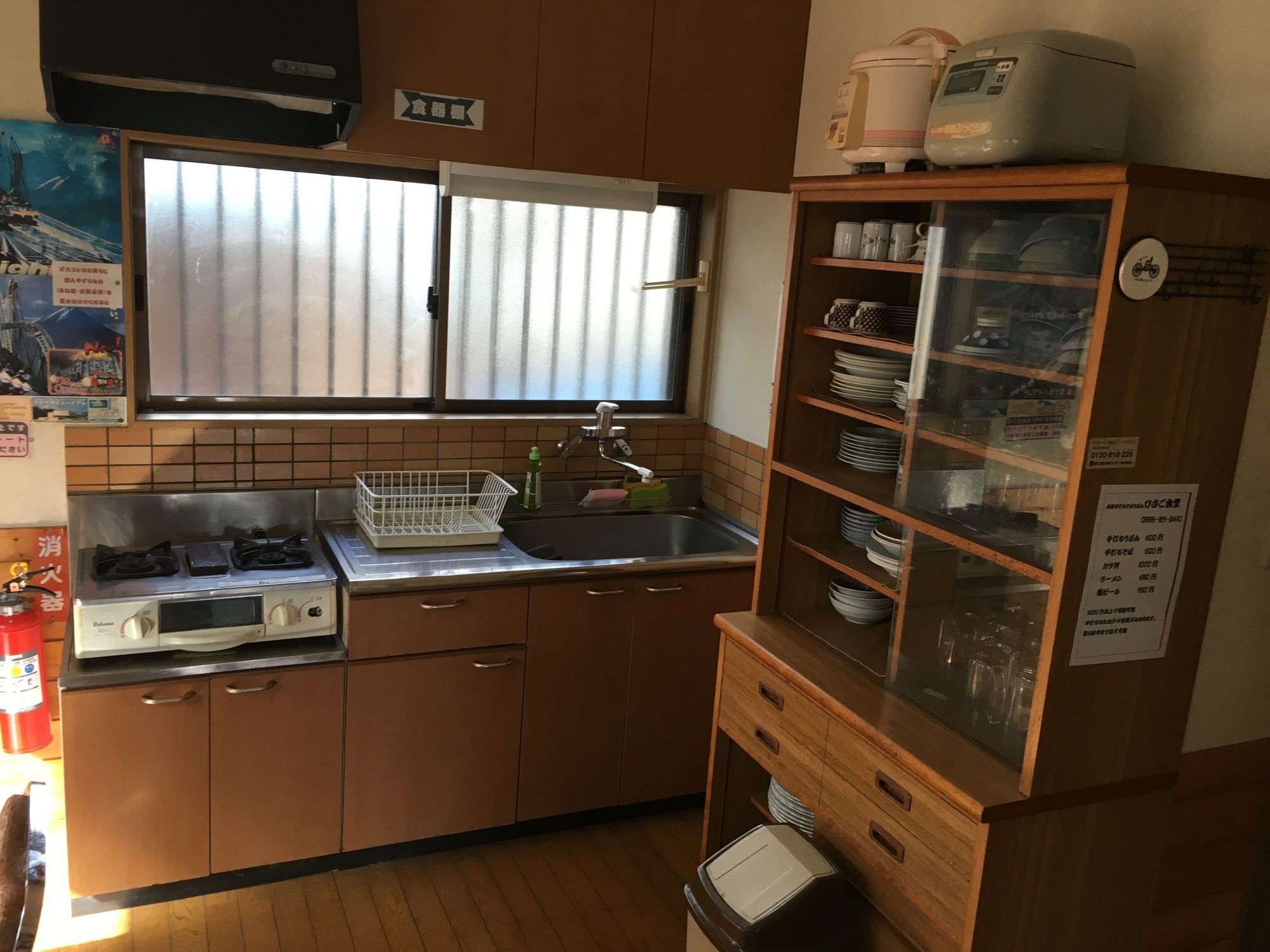 Фото Lupinus Kawaguchiko