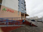 A-pro.by (Cimirazieva Street, 121к4), software companies