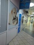 Кабинет ветеринарного врача-дерматовенеролога (Kosmonavtov Street, 41к1), veterinary clinic