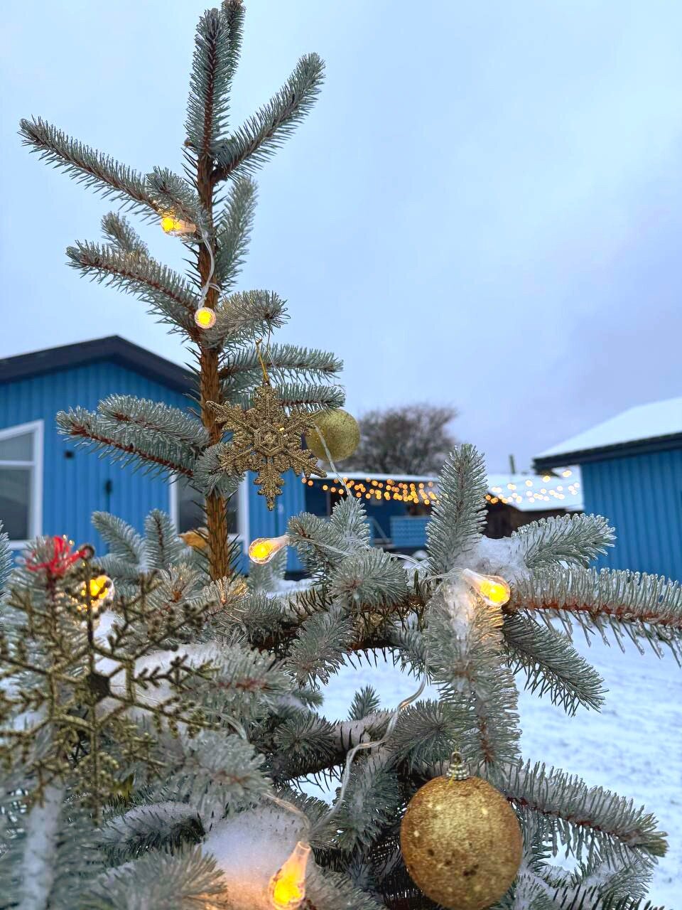 Фото Дачная 12