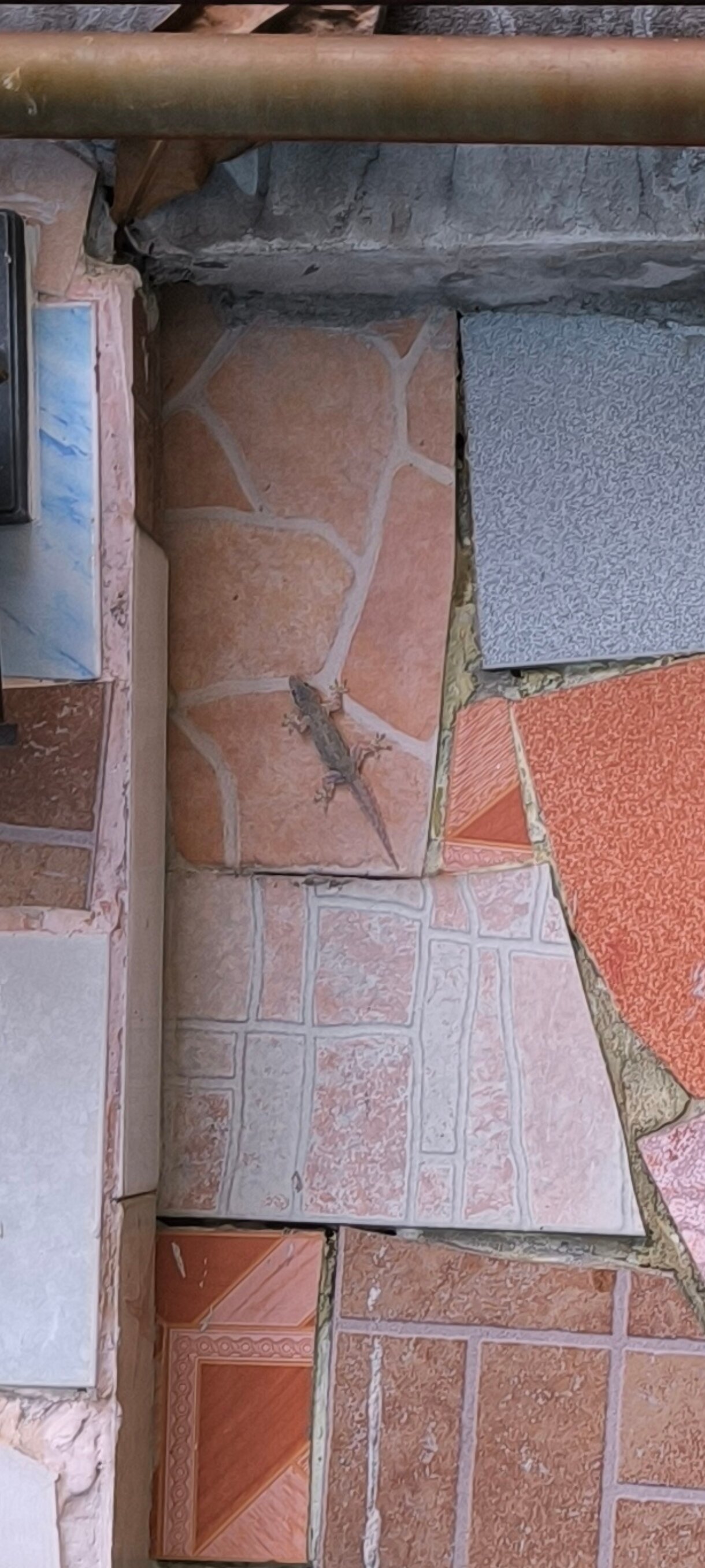 Фото Phratamnak Inn