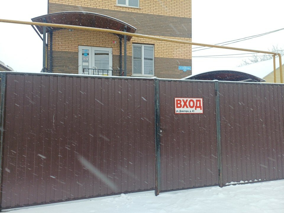 Фото Базилик