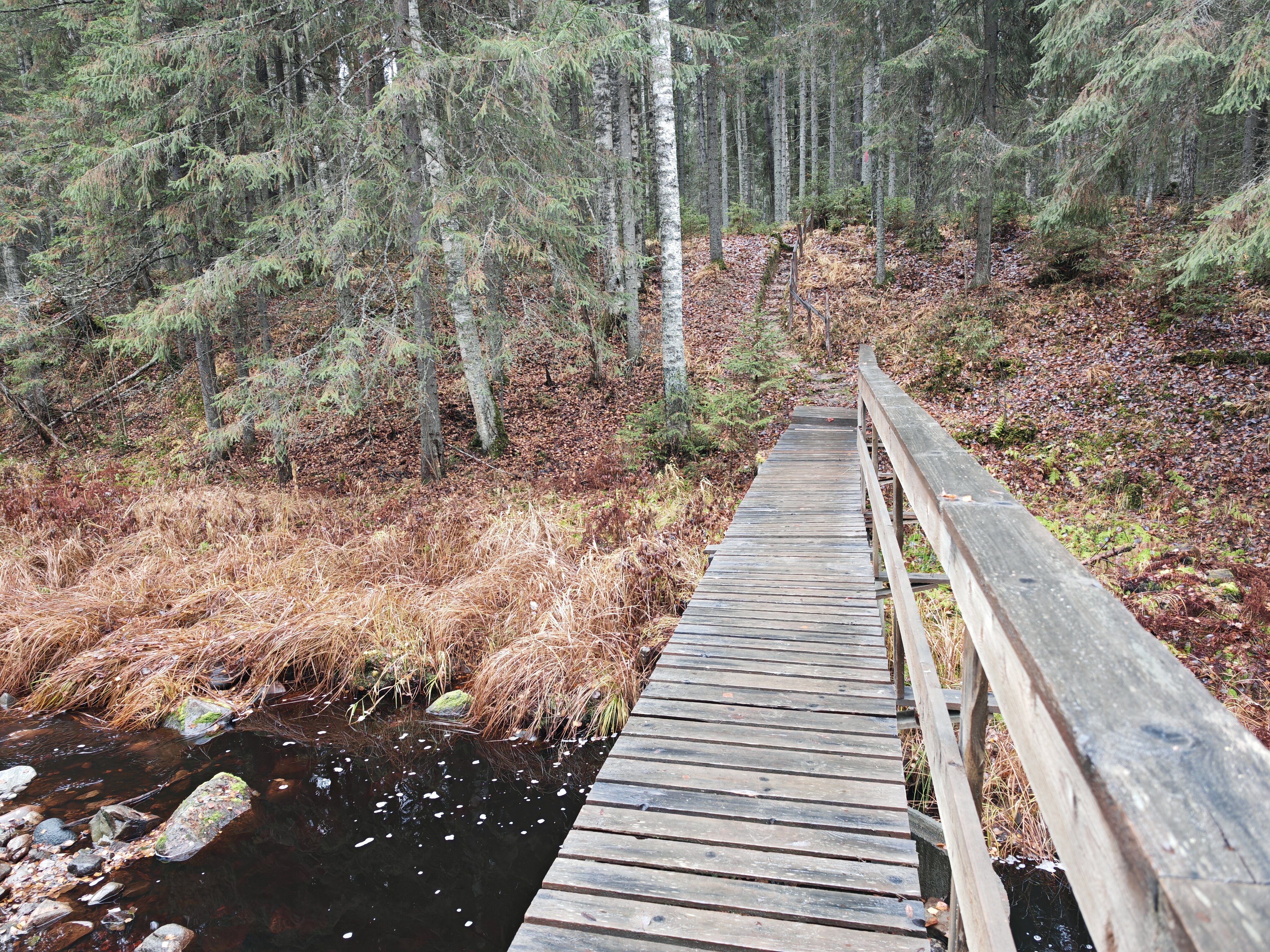 Фото Домик-Баня у речки Карелия