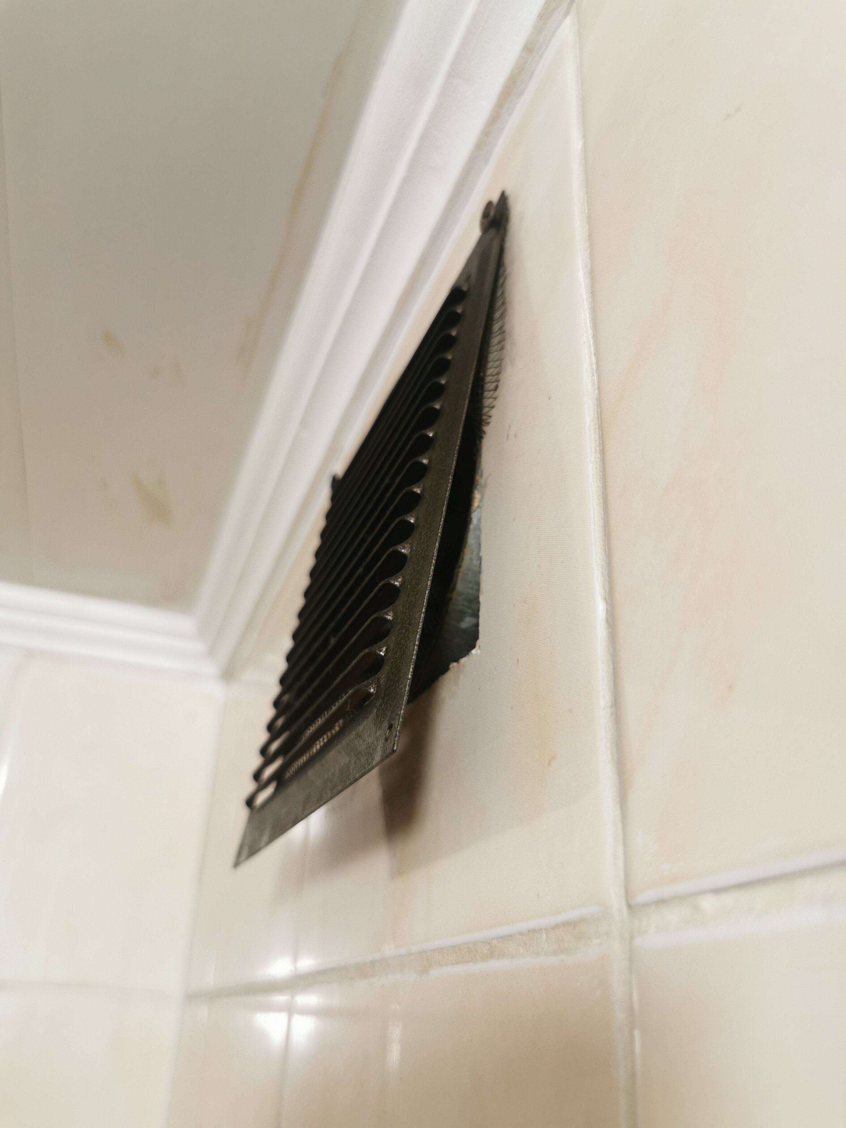 Фото Золотой колос