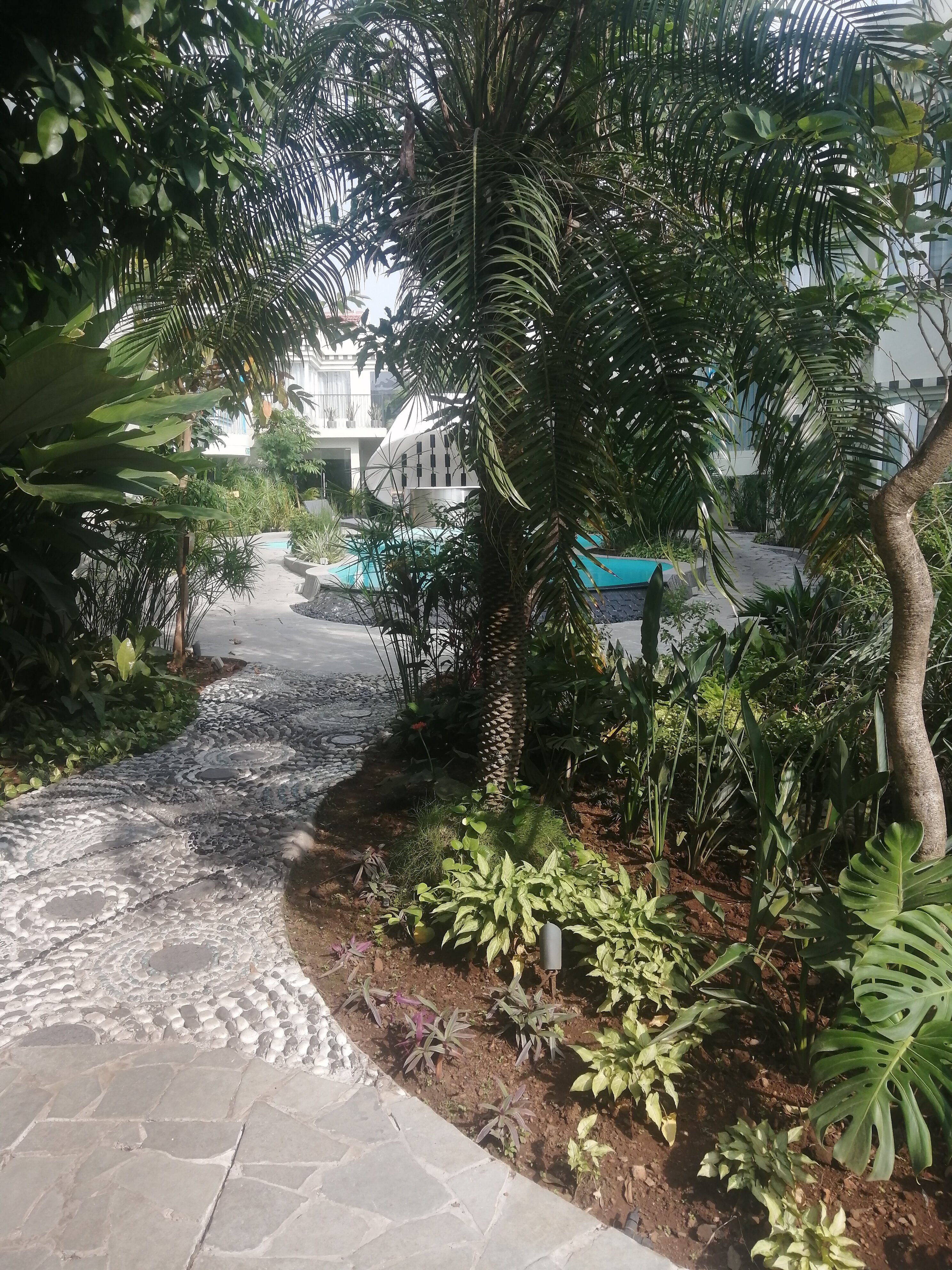 Фото Lotus Beach Resort