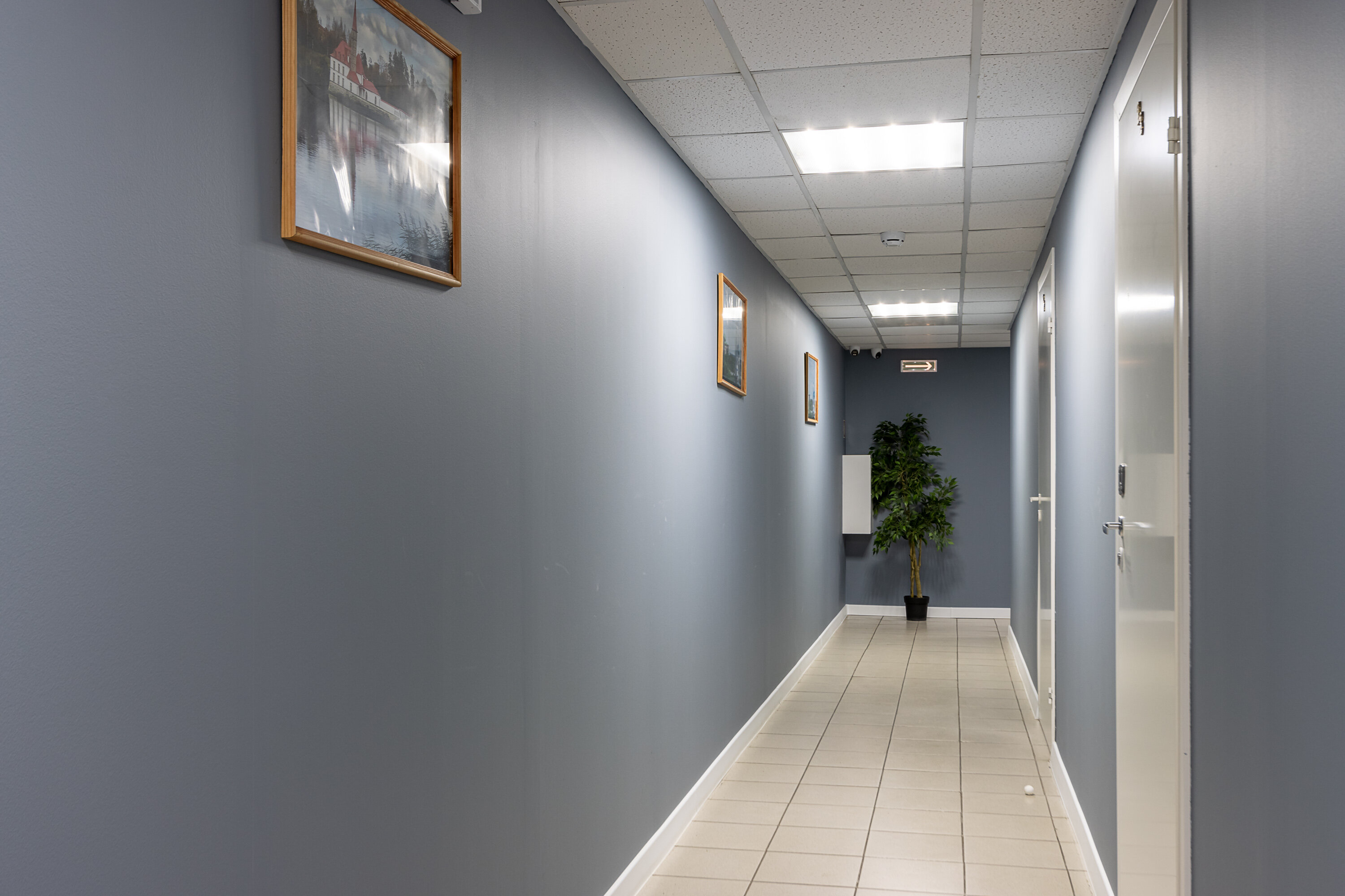 Фото Номера в Гатчине