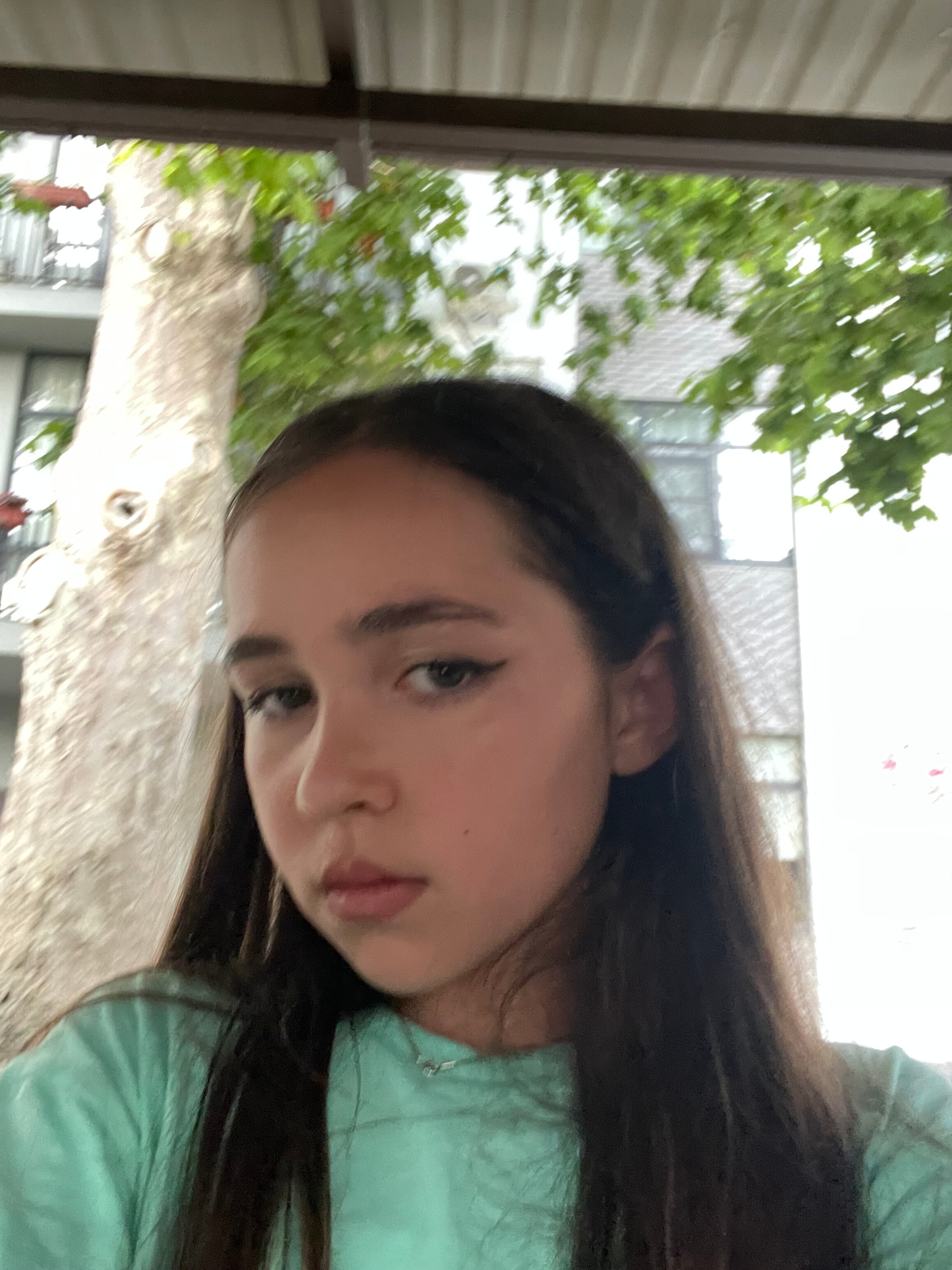 Фото Абазгия