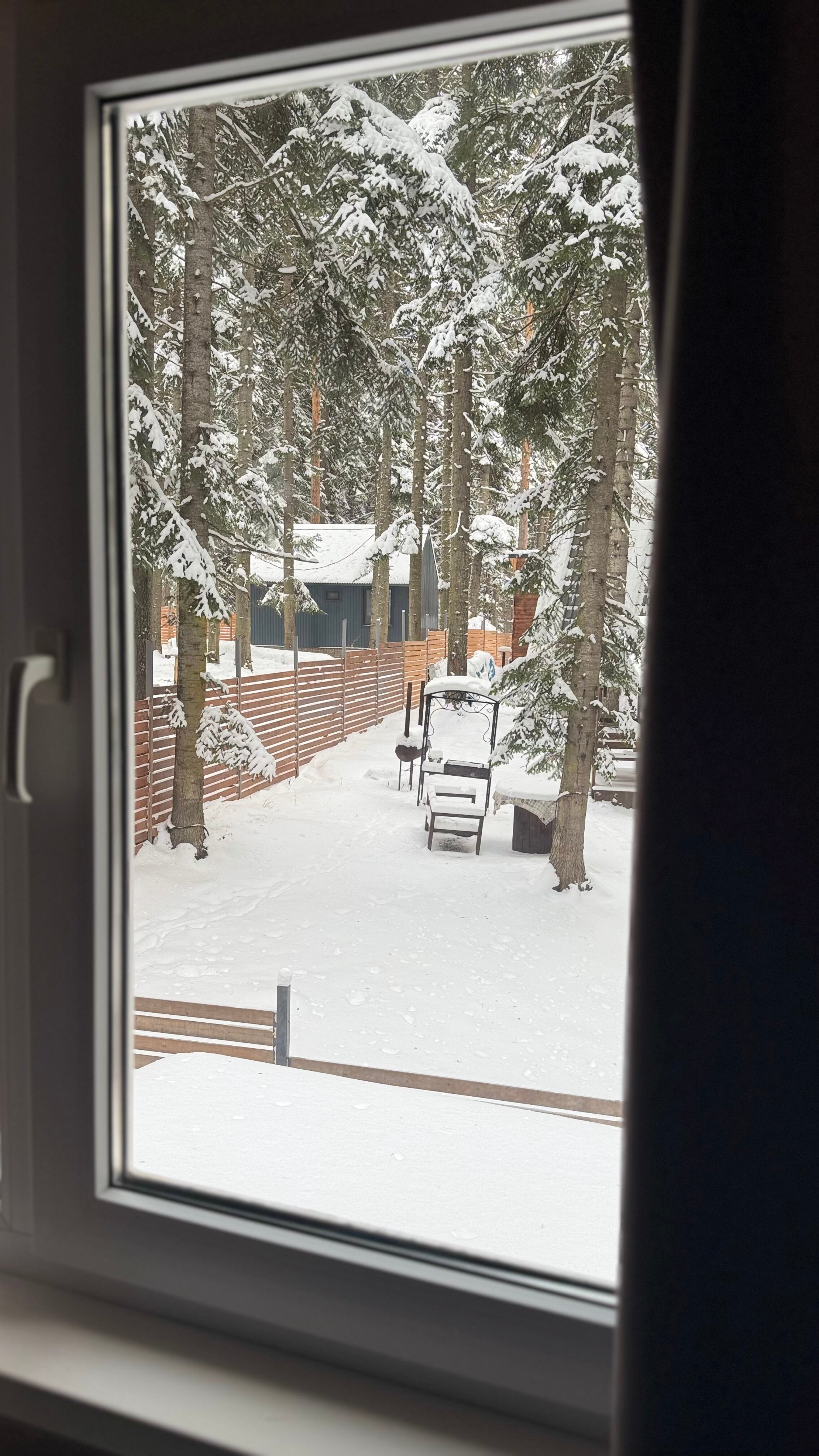 Фото Алан Коттедж