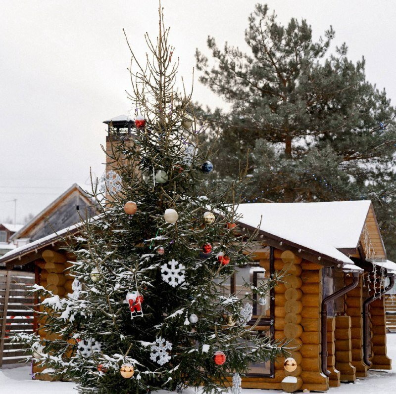 Фото Эко-отель Мордасово