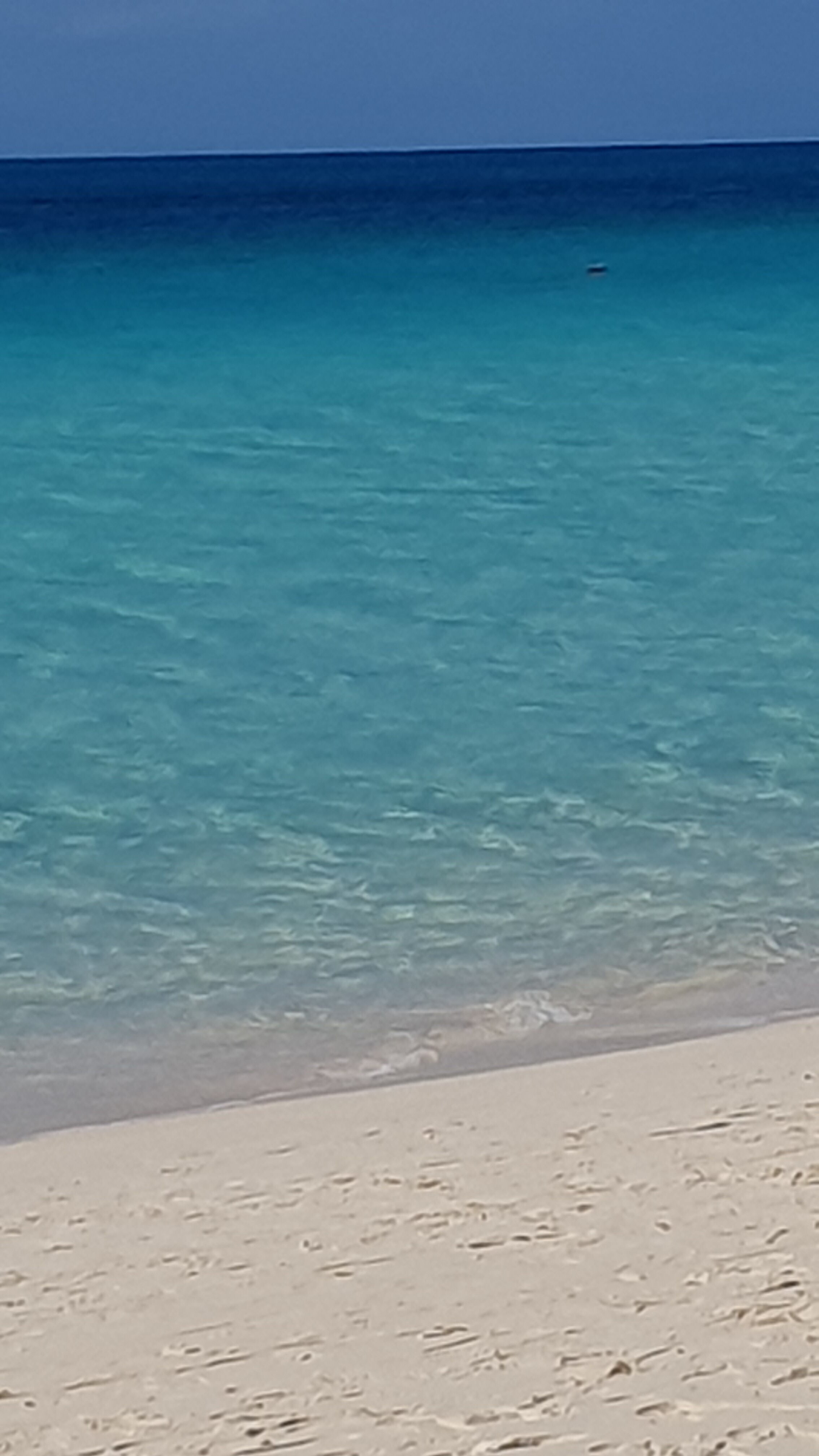 Фото Marine Lodge Marea