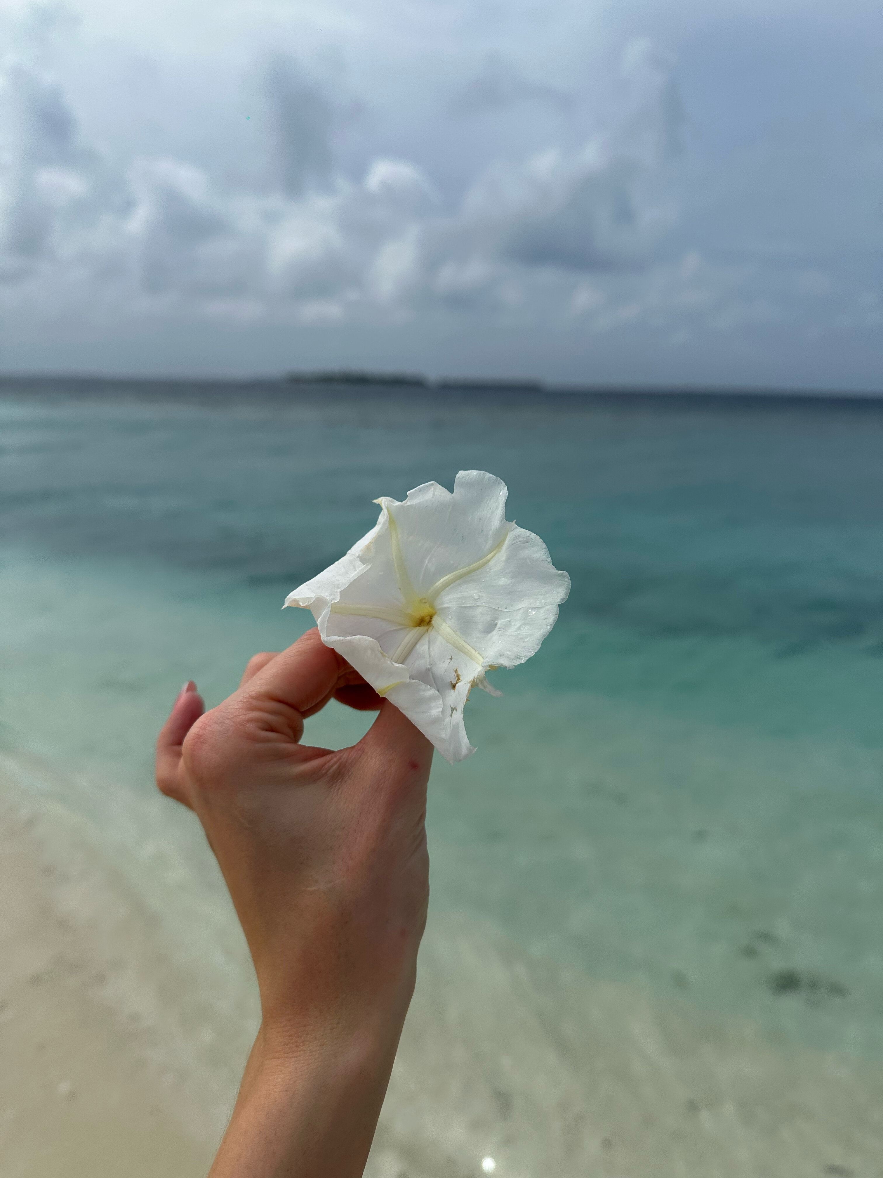 Фото Clarks Exotica Kamadhoo Maldives