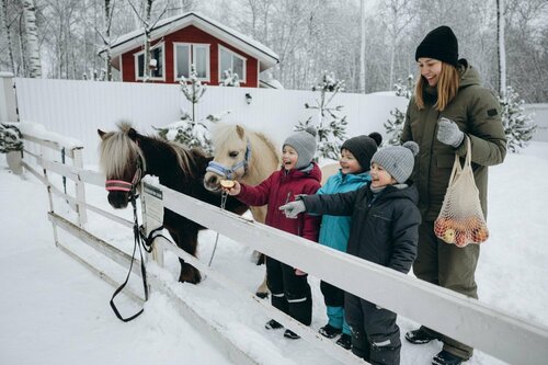 Дом в аренду Сканди хаус в Клину