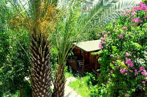 Гостиница № 1281 Boutique Hotel в Кумлудже