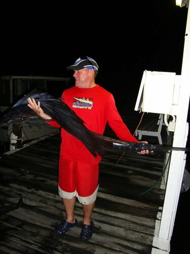 Гостиница Driftwood Resort в Алотау