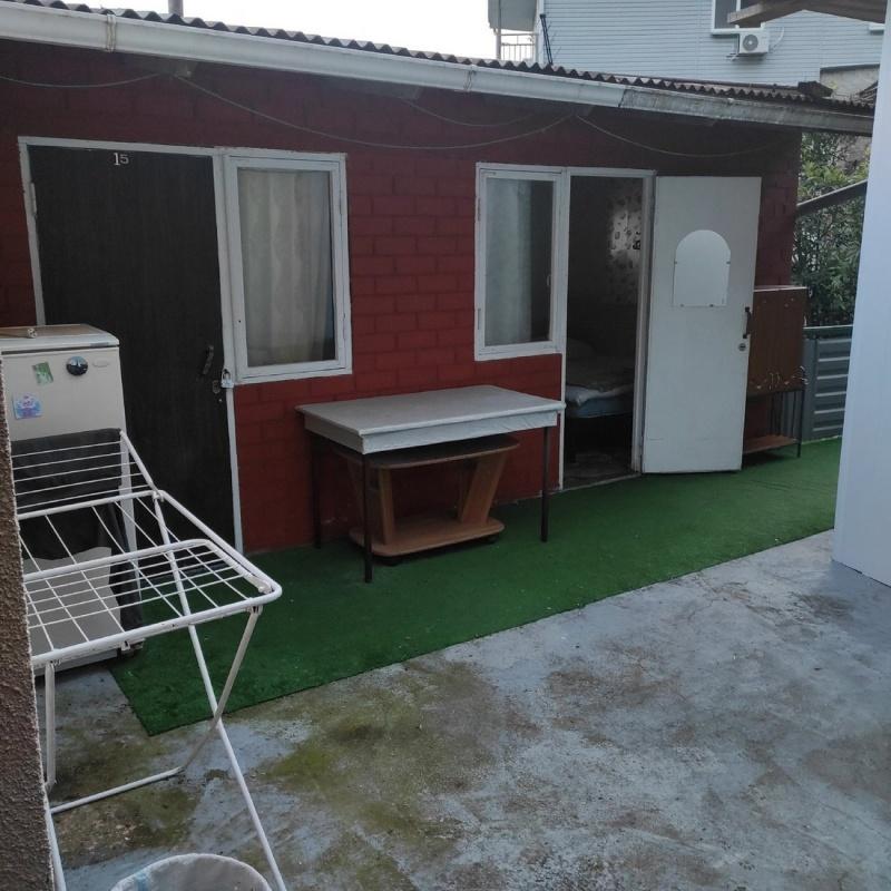 Фото Под пальмой