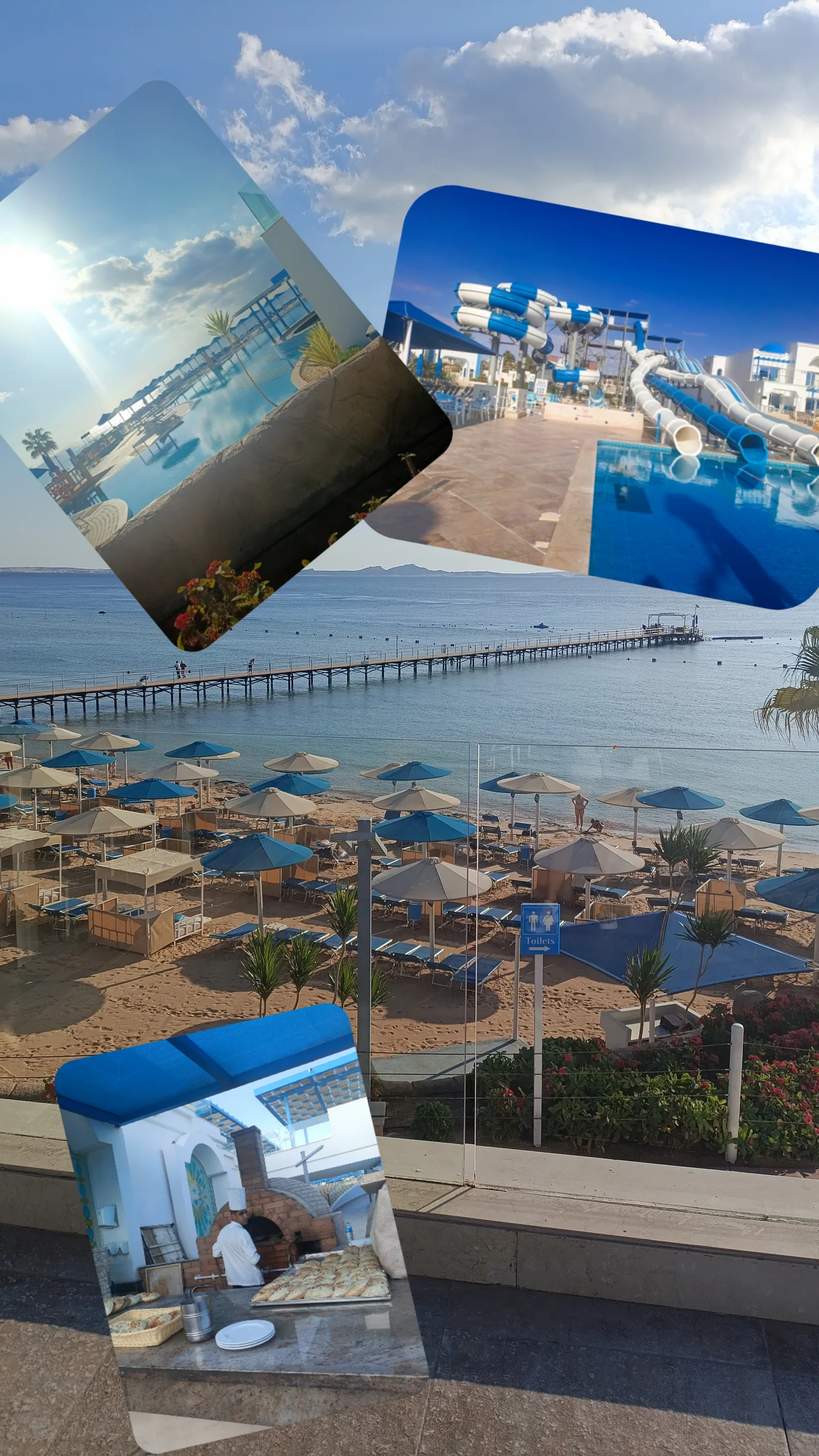 Фото Albatros Sharm Resort