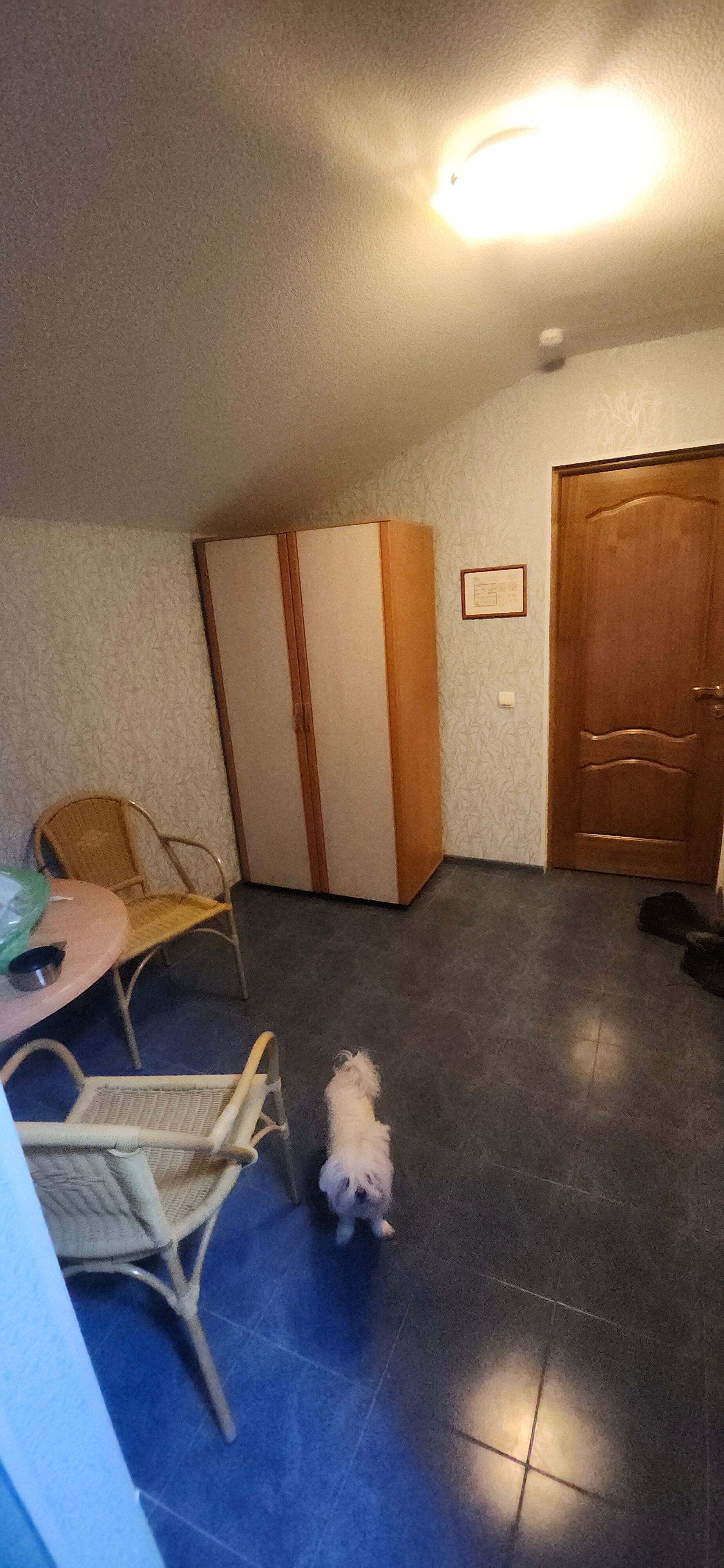 Фото Четыре сезона