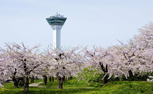 Гостиница Toyoko Inn Hokkaido Hakodate Ekimae Asaichi в Хакодате