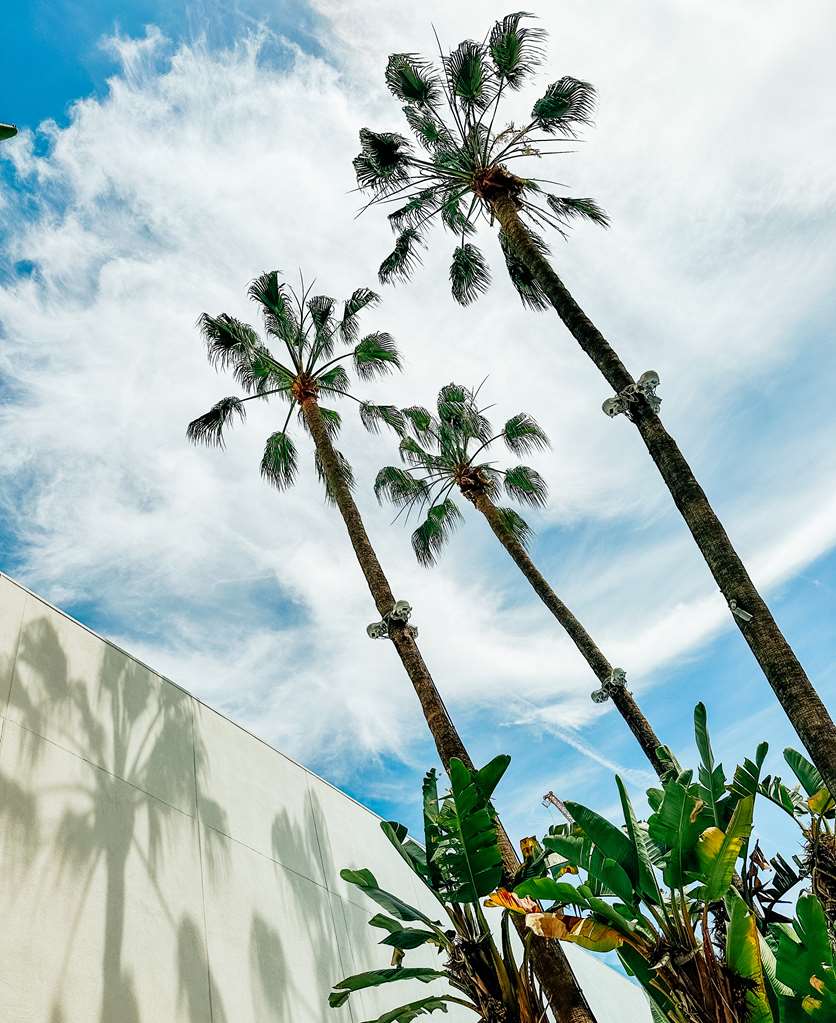 Фото The Beverly Hilton