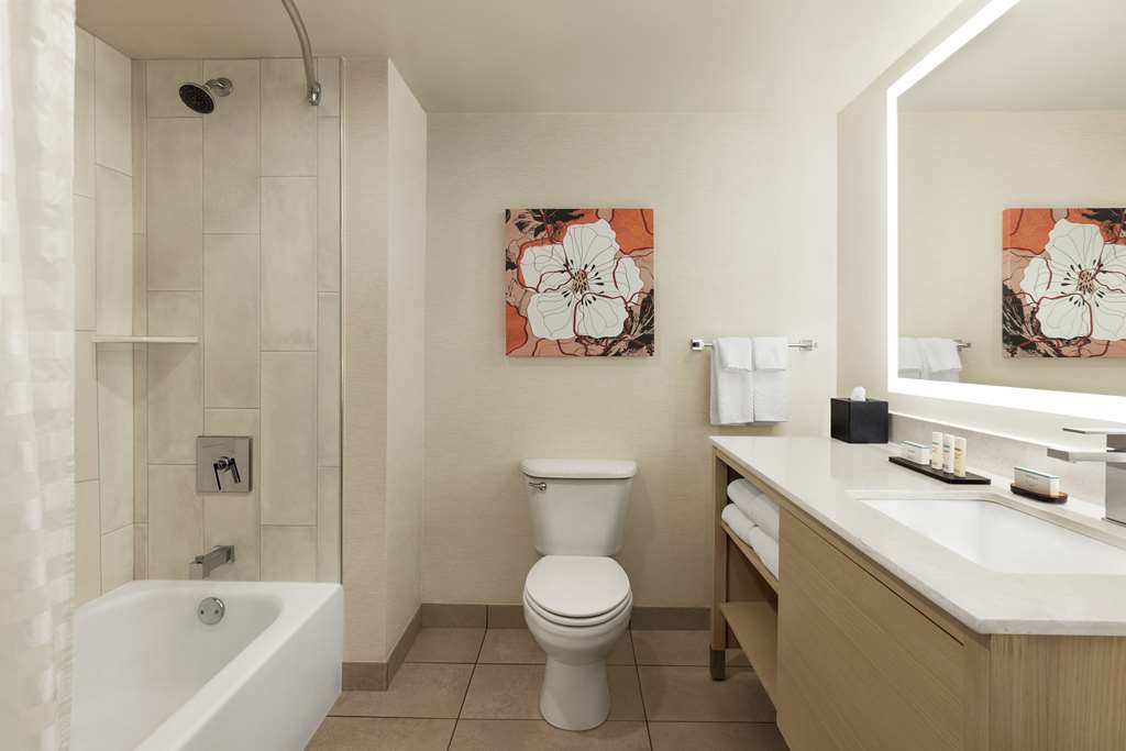 Фото Embassy Suites by Hilton Denver International Airport