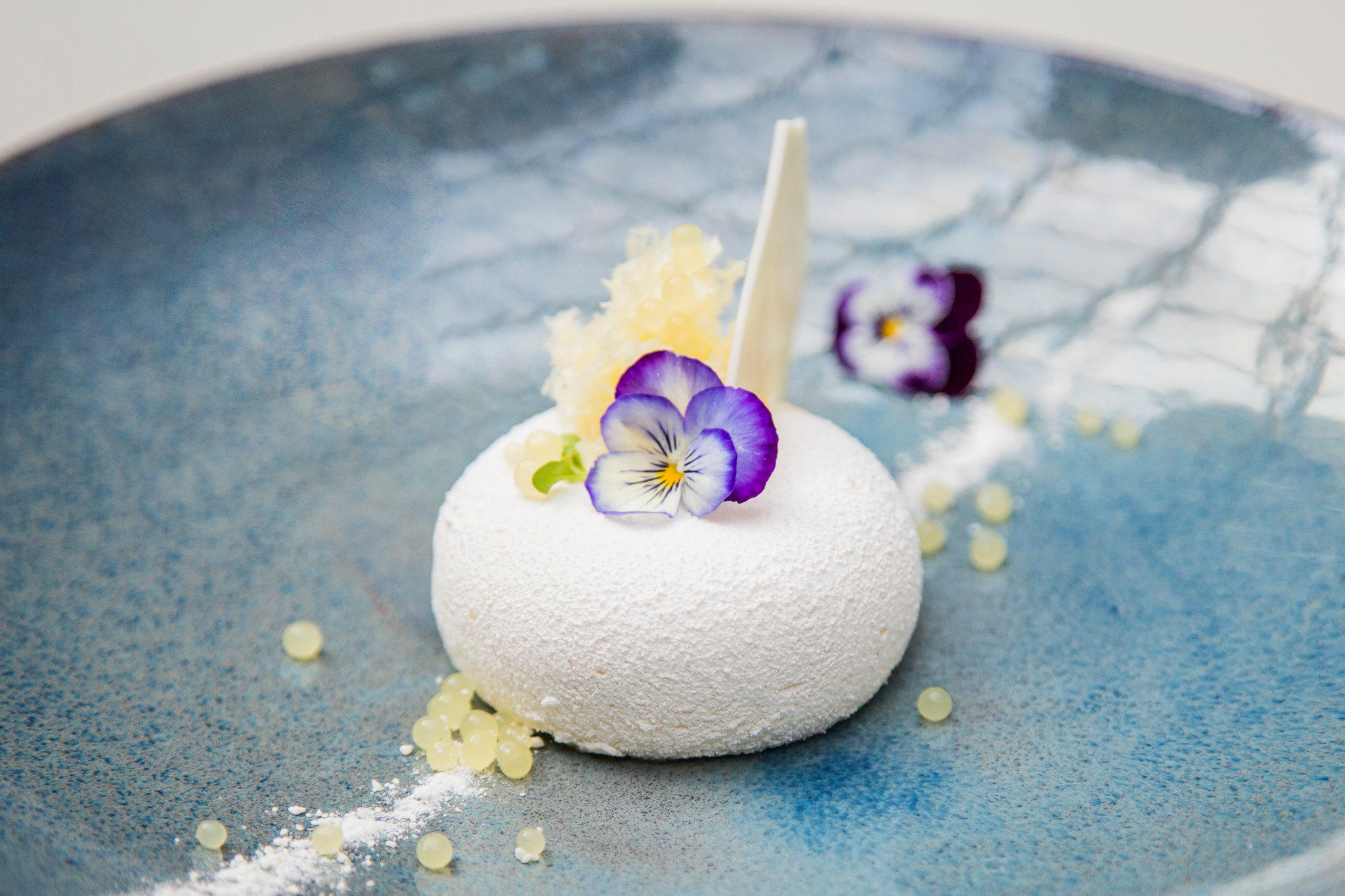 Фото Kimpton Gray Hotel, an Ihg Hotel