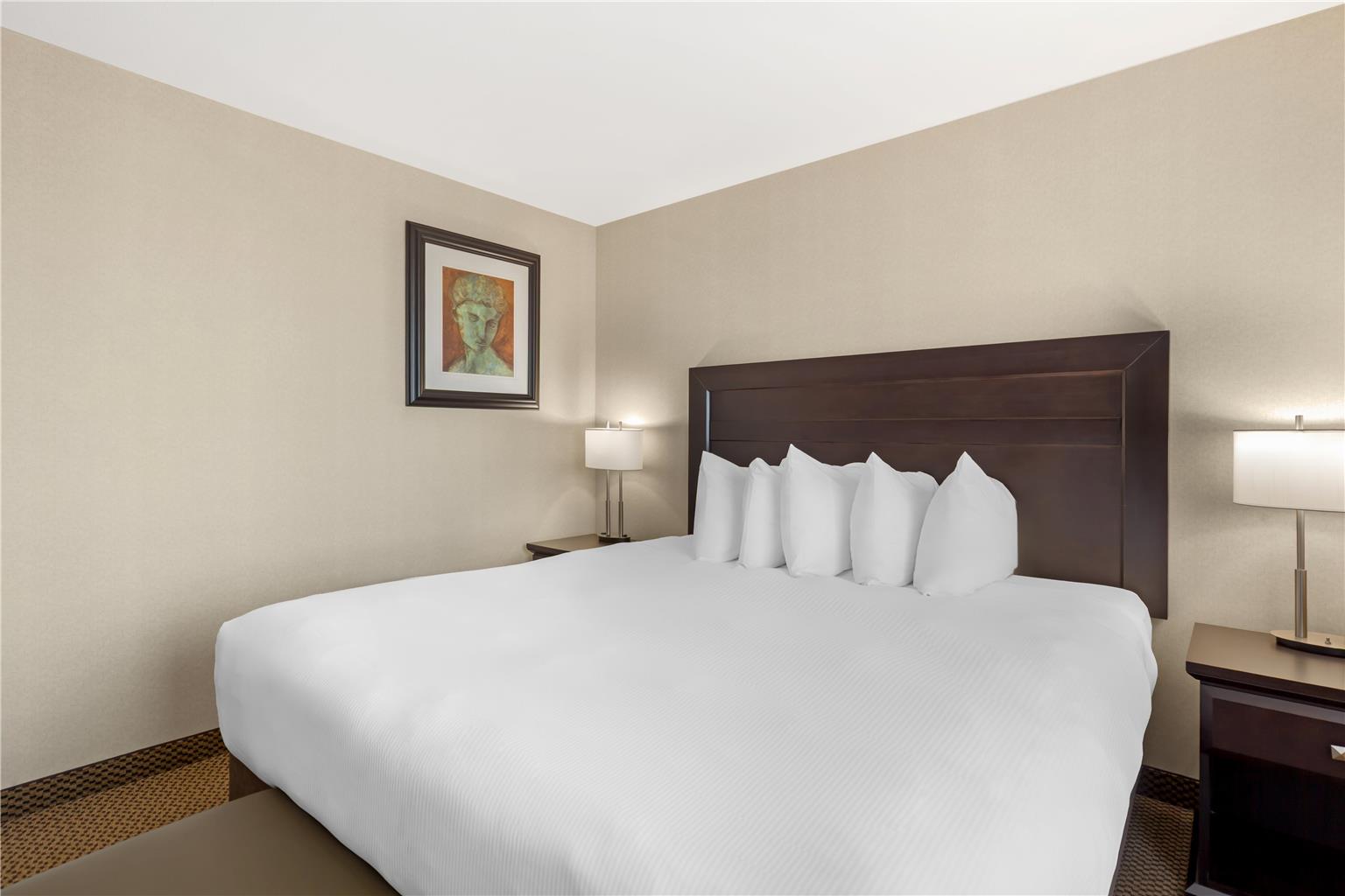 Фото Best Western Bonnyville Inn & Suites