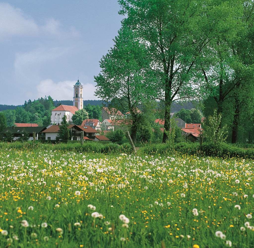 Фото Best Western Aparthotel Birnbachhoehe