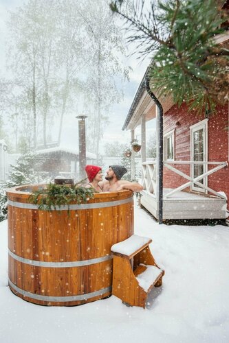 Дом в аренду Сканди хаус в Клину