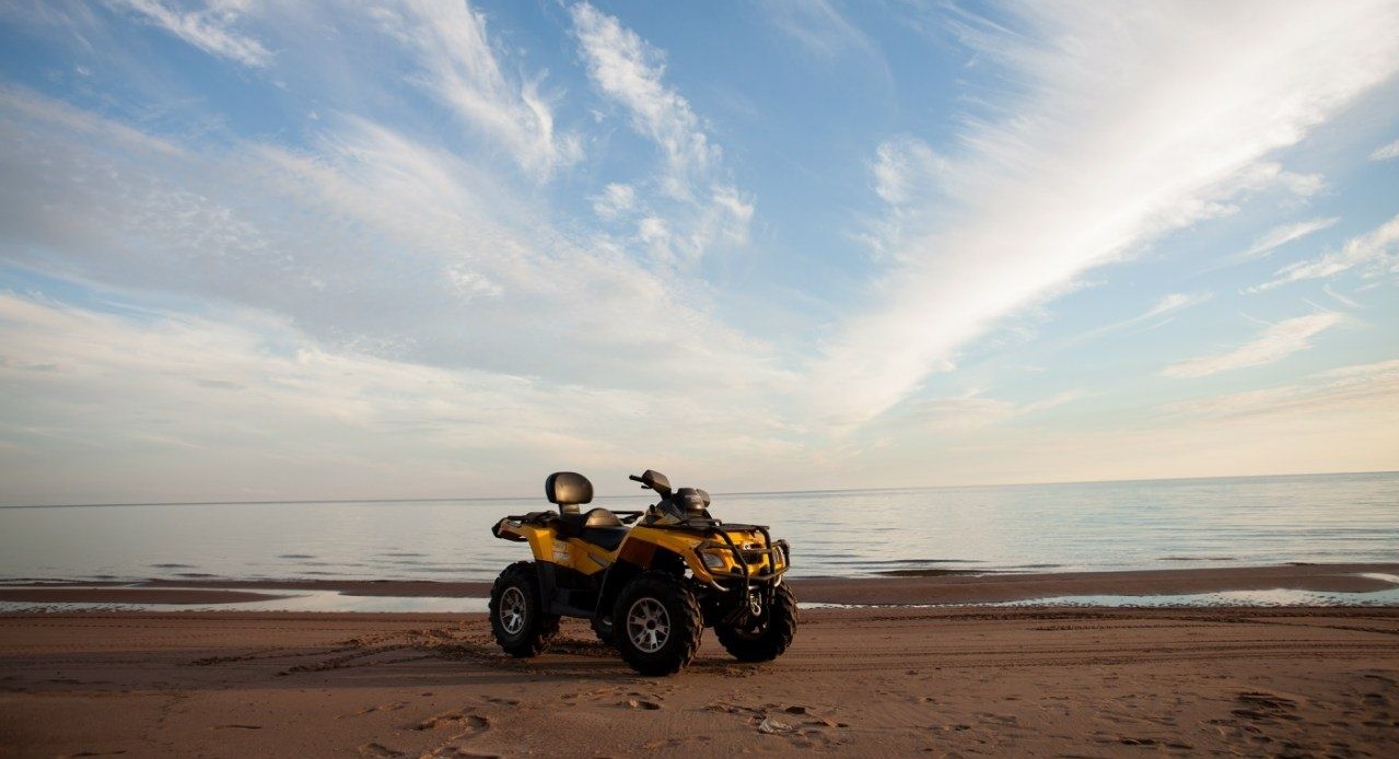 Фото Villa Vitele