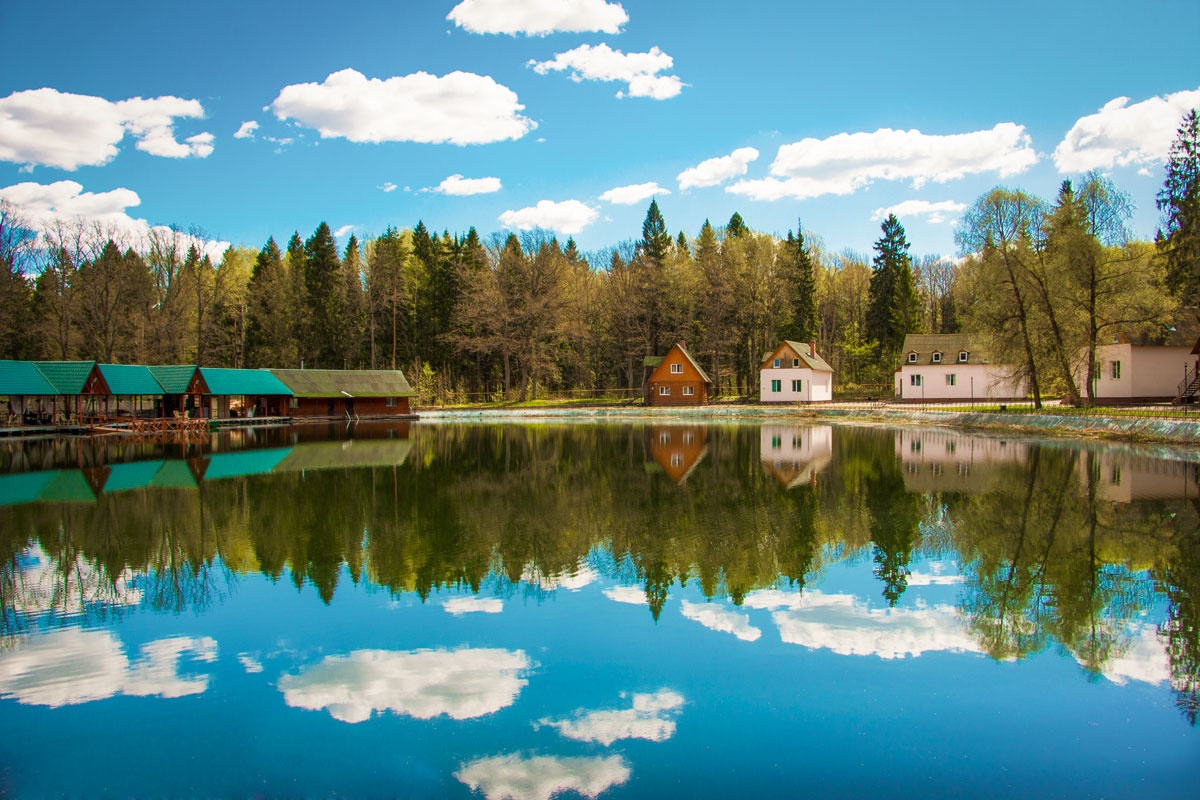 Фото Лесная сказка