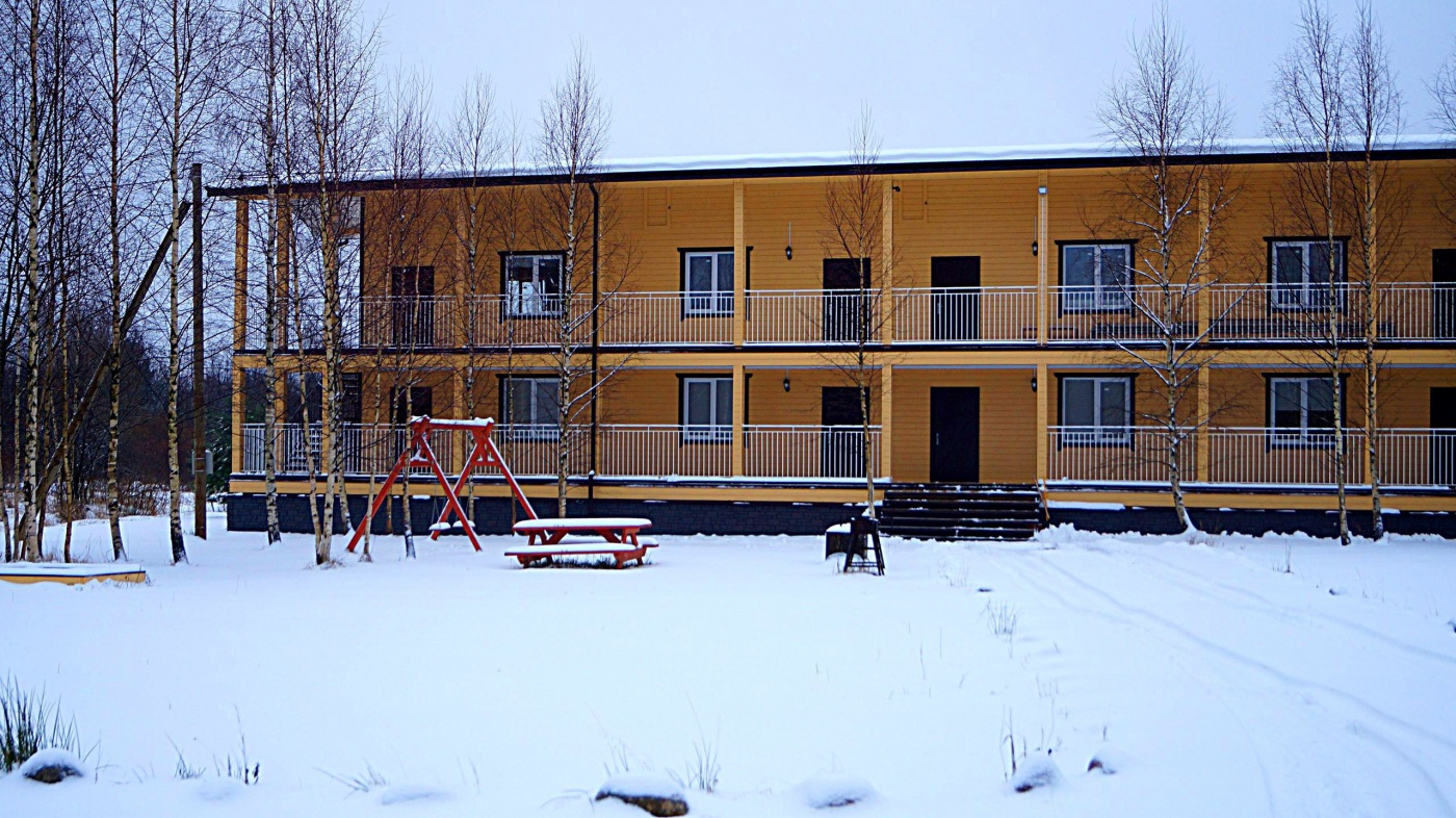 Фото Березки