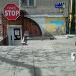 Magazin piva (Artilleriyskaya Street, 114Б), beer shop