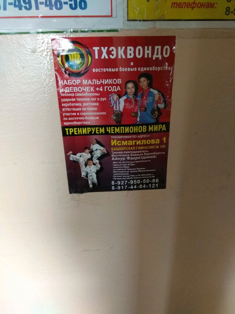 Sports club Vsestilevaya federatsiya Tkhekvondo, Ufa, photo