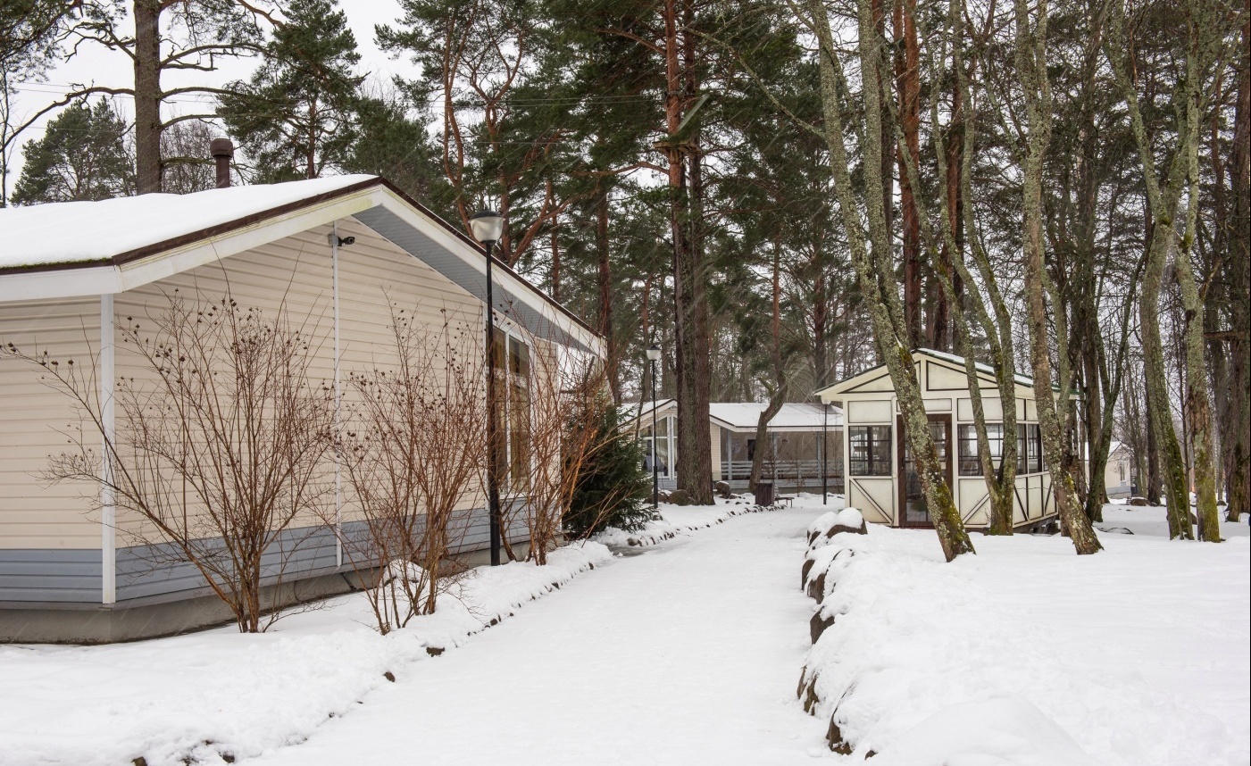 Фото Лосевода