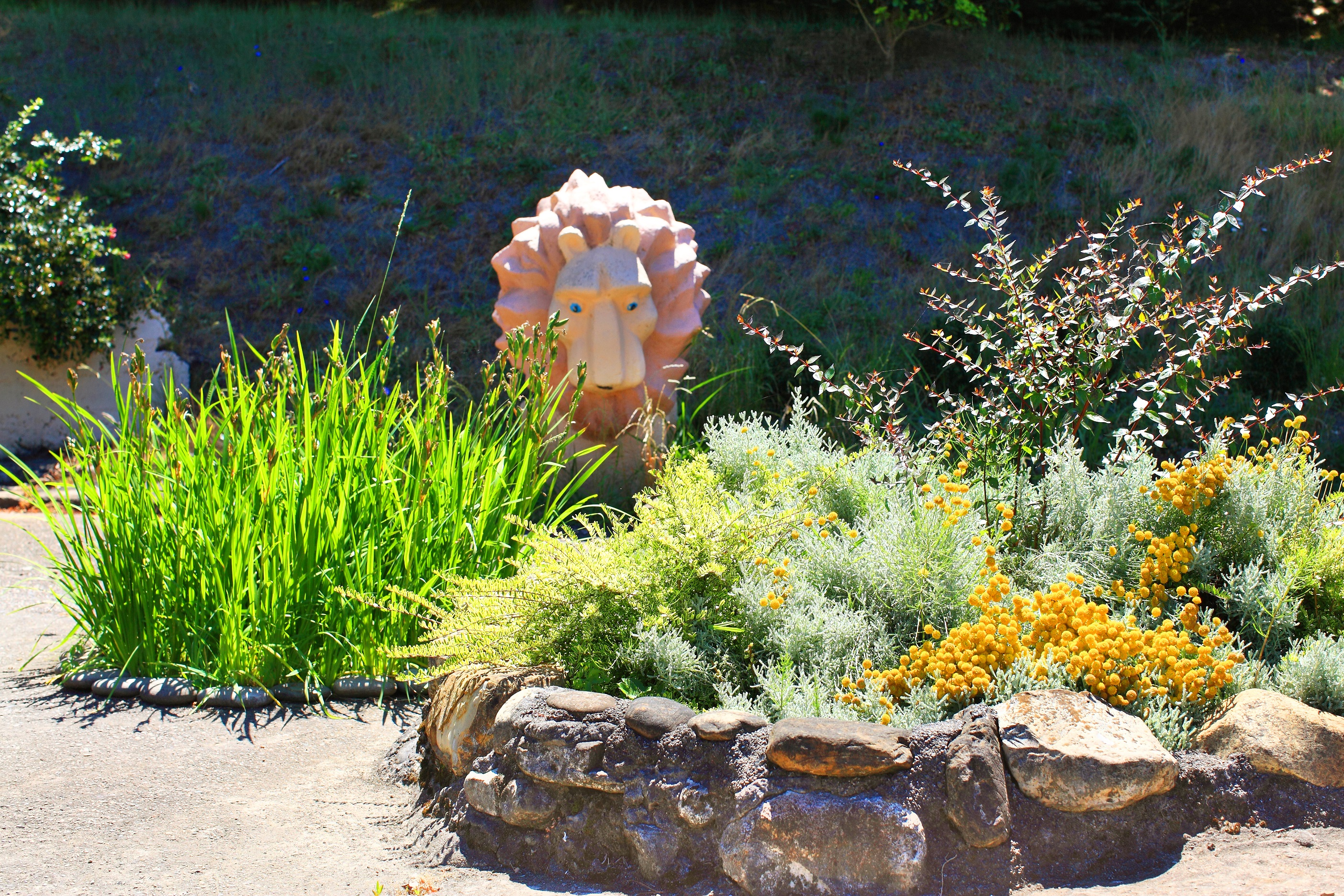 Фото Магадан